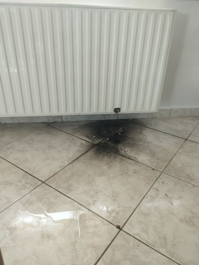 Τρόμος στα Ανώγεια: Επέστρεψαν από διακοπές και βρήκαν το σπίτι τους γαζωμένο με σφαίρες! - Δείτε εικόνες